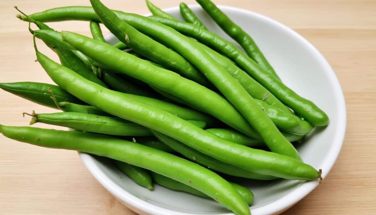 découvrez 11 délicieuses recettes rapides à base d'haricots verts, idéales pour préparer des plats savoureux en un rien de temps. parfaites pour les gourmets pressés !